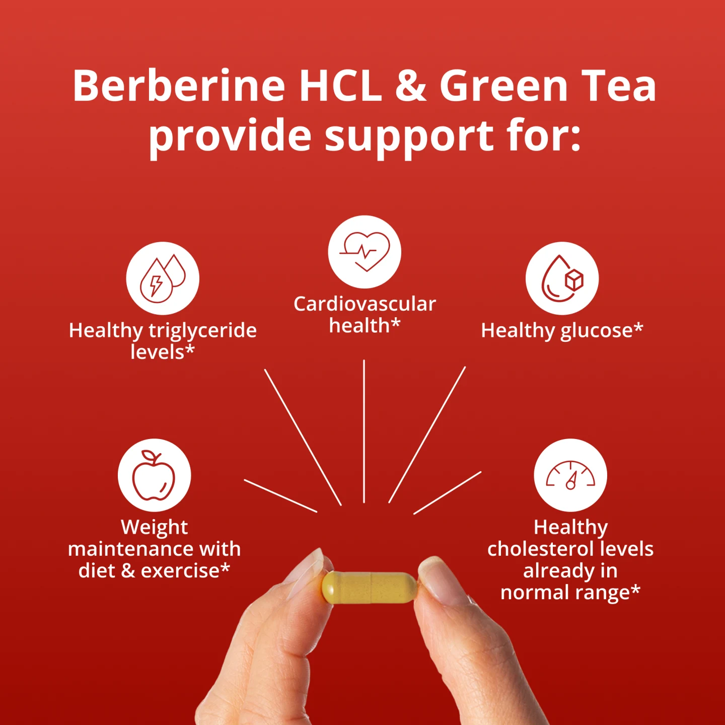 Berberine GT - Image 5